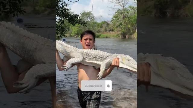 BUAYA PUTIH DIMASAK APA ENGGAK!?? BUAYA PUTIH DIMASAK APA ENGGAK!??