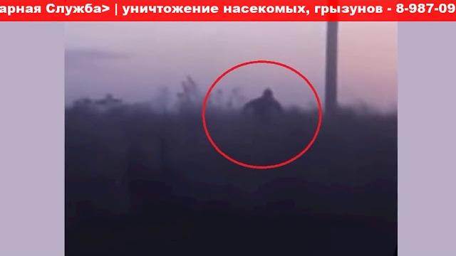 Снежный человек из Башкирии Снежный человек из Башкирии