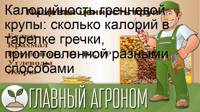 Калорийность гречневой крупы: сколько калорий в тарелке гречки, приготовленной разными способами Калорийность гречневой крупы: сколько калорий в тарелке гречки, приготовленной разными способами