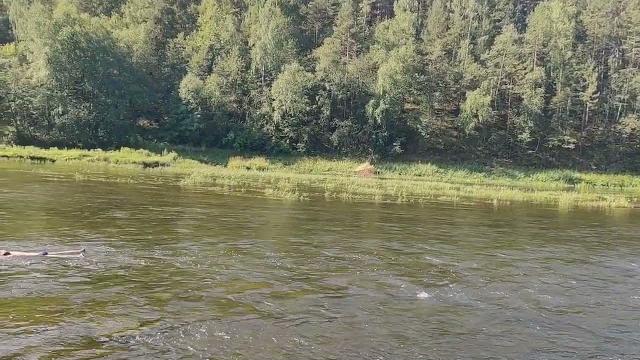 Проплывающий мимо труп врага Проплывающий мимо труп врага
