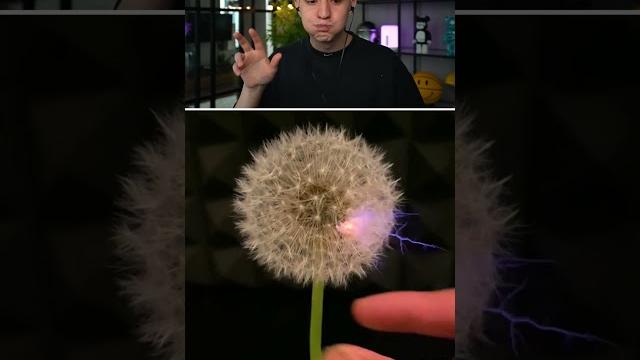 ПОПРОБУЙ НЕ ЗАСМЕЯТЬСЯ ЧЕЛЛЕНДЖ #Shorts #Глент ПОПРОБУЙ НЕ ЗАСМЕЯТЬСЯ ЧЕЛЛЕНДЖ #Shorts #Глент
