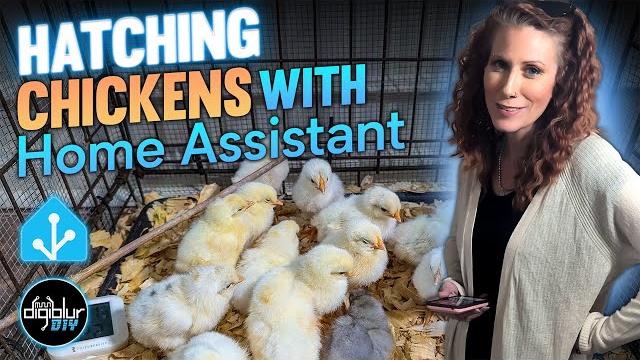 Hatching Chickens with Home Assistant Hatching Chickens with Home Assistant