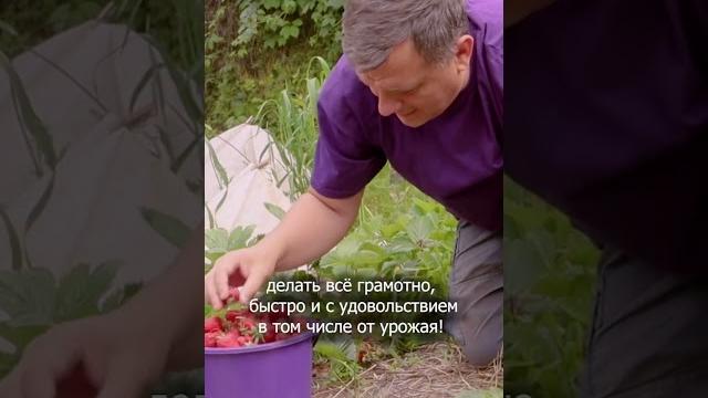 Как научиться урожаю Дачный агроном Как научиться урожаю Дачный агроном