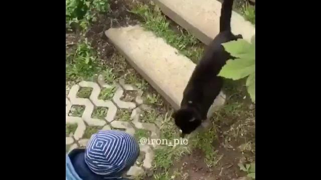 Спроси как у котика дела? Спроси как у котика дела?