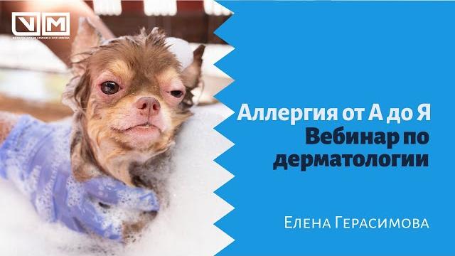 Аллергия от А до Я. Вебинар по дерматологии Аллергия от А до Я. Вебинар по дерматологии