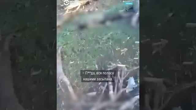 Россия теряет 1000 солдат в день на войне с Украиной Россия теряет 1000 солдат в день на войне с Украиной