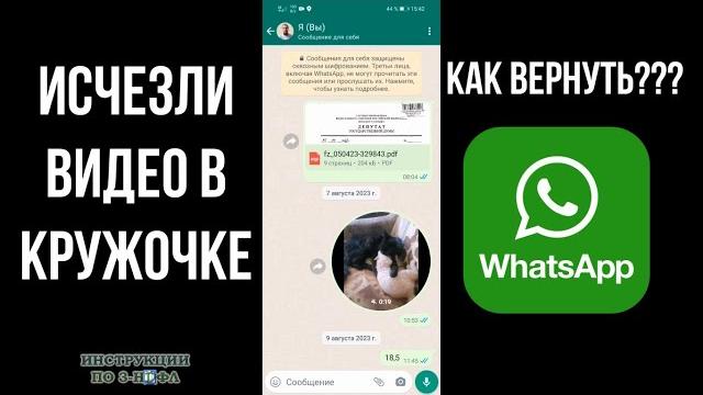 Видео в кружочке в Ватсапе не работает, как сделать кружочки в Ватсап и отправить видео сообщение Видео в кружочке в Ватсапе не работает, как сделать кружочки в Ватсап и отправить видео сообщение