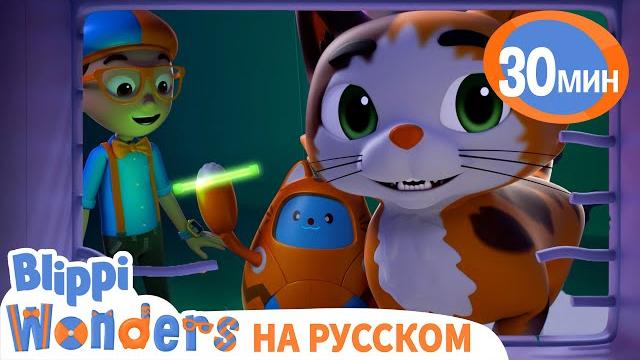 Зачем кошке УСЫ? | Обучающие мультики для детей | Blippi Russian Зачем кошке УСЫ? | Обучающие мультики для детей | Blippi Russian