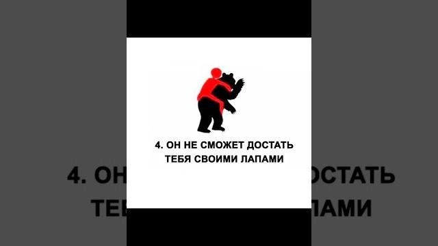 Bear Wrestling Meme Bear Wrestling Meme