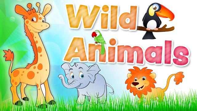 The ANIMALS for kids - Wild animals english vocabulary The ANIMALS for kids - Wild animals english vocabulary
