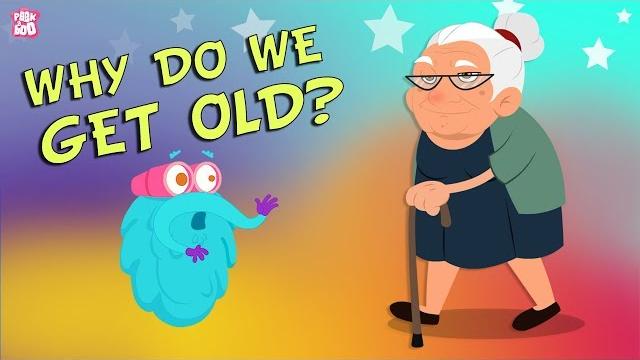 Why Do We Get Old? The Dr. Binocs Show | Best Learning Videos For Kids | Peekaboo Kidz Why Do We Get Old? The Dr. Binocs Show | Best Learning Videos For Kids | Peekaboo Kidz
