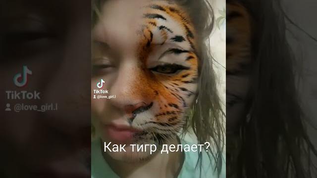 #тигр#годтигра2022 #годтигра#новыйгод#прикольныевидео#смешныевидео#видеоприколы#интересно#likes#yes #тигр#годтигра2022 #годтигра#новыйгод#прикольныевидео#смешныевидео#видеоприколы#интересно#likes#yes