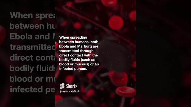 Ebola & marburg #4 #shorts Ebola & marburg #4 #shorts
