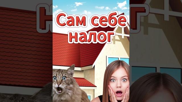 Налоговая декларация 3-НДФЛ: как заполнить самостоятельно и сделать себе долг по налогам Налоговая декларация 3-НДФЛ: как заполнить самостоятельно и сделать себе долг по налогам