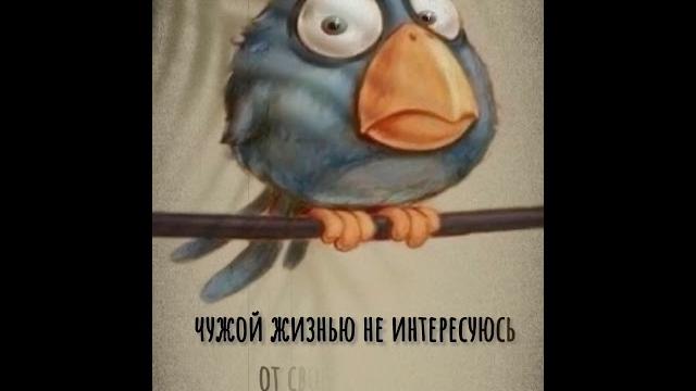 #юмор #открытка #пожелания #приколы #открытки #юмор #открытка #пожелания #приколы #открытки