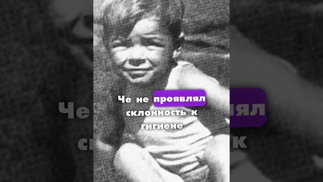 ЧЕ ГЕВАРА ОТКОСИЛ ОТ АРМИИ #факт #факты #чегевара ЧЕ ГЕВАРА ОТКОСИЛ ОТ АРМИИ #факт #факты #чегевара