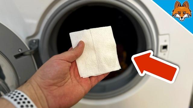 3 печально секретных трюка, как избавиться от шерсти домашних животных в стиральной машине 3 печально секретных трюка, как избавиться от шерсти домашних животных в стиральной машине