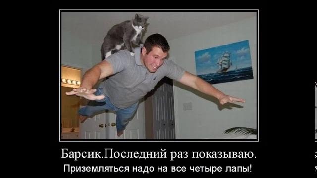 Веселые картинки. Смешные коты. Прикольные кошки. Веселые картинки. Смешные коты. Прикольные кошки.