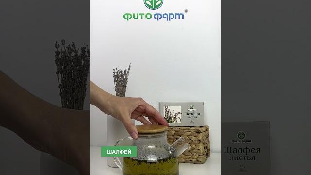 Свойства Шалфея Свойства Шалфея