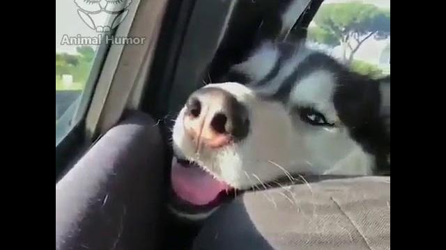 - А мы уже приехали? - А мы уже приехали?