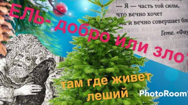 Почему украшают ёлку на новый год? Зачем нужна ель на рождество? Магия ели.Традиция украшать ёлку Почему украшают ёлку на новый год? Зачем нужна ель на рождество? Магия ели.Традиция украшать ёлку