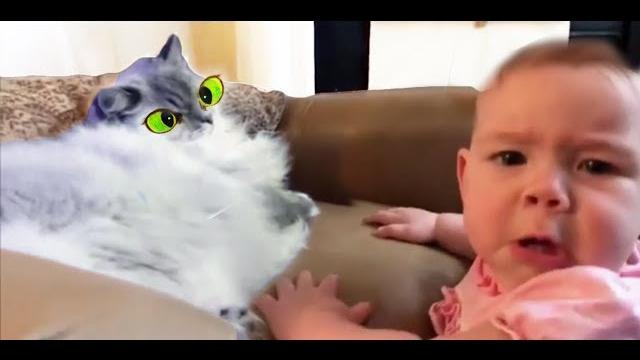 РЖАЧНЫЕ ПРИКОЛЫ С ЖИВОТНЫМИ И НЕ ТОЛЬКО! ТЕСТ НА ПСИХИКУ 2019, ПРОБУЙ НЕ СМЕЯТЬСЯ! Коты собаки люди! РЖАЧНЫЕ ПРИКОЛЫ С ЖИВОТНЫМИ И НЕ ТОЛЬКО! ТЕСТ НА ПСИХИКУ 2019, ПРОБУЙ НЕ СМЕЯТЬСЯ! Коты собаки люди!