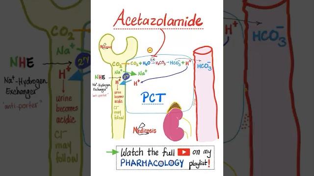 Acetazolamide- Diuretics - Pharmacology…#mbbs #nurse #nclex #doctor #usmle #pharmacist #veterinary Acetazolamide- Diuretics - Pharmacology…#mbbs #nurse #nclex #doctor #usmle #pharmacist #veterinary