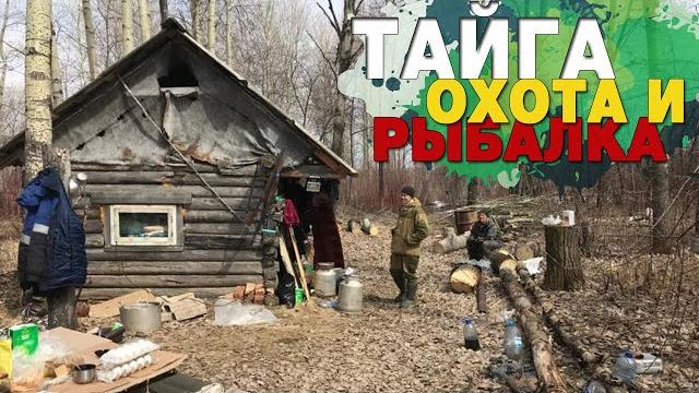 Тайга. Охота и рыбалка в Сибири. Дикая природа. Taiga. Hunting and fishing in Siberia. Тайга. Охота и рыбалка в Сибири. Дикая природа. Taiga. Hunting and fishing in Siberia.