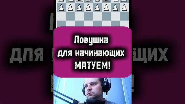 Ловушка для начинающих #chess #стрим #puzzle #гамбит #игры #lichess #stream #rawersson #дебют Ловушка для начинающих #chess #стрим #puzzle #гамбит #игры #lichess #stream #rawersson #дебют