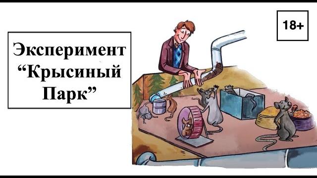 Зависимость. Эксперимент "Крысиный Парк" Зависимость. Эксперимент "Крысиный Парк"
