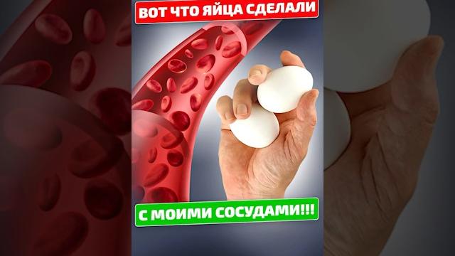 Вот как ЯЙЦА влияют на КРОВЬ и СОСУДЫ! Вот как ЯЙЦА влияют на КРОВЬ и СОСУДЫ!