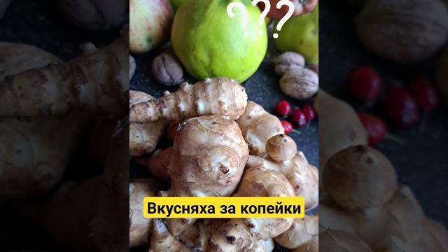 Топинамбур -это деликатес за копейки или вкусняха не реальная?#смачно #топинамбур #овощныеблюда Топинамбур -это деликатес за копейки или вкусняха не реальная?#смачно #топинамбур #овощныеблюда