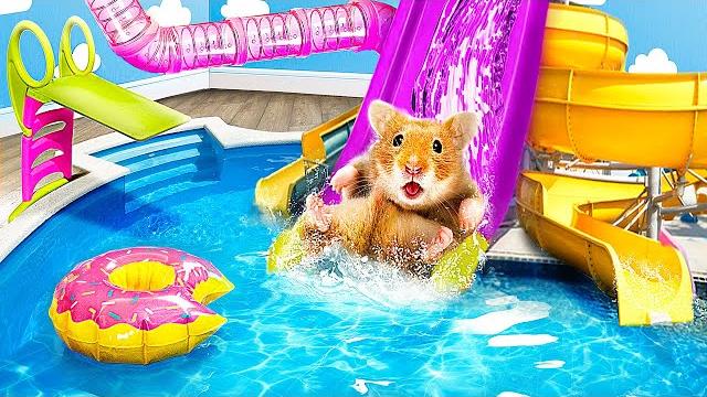 Хомяк в аквапарке! Лабиринт с ловушками для хомяка! Хомяк в аквапарке! Лабиринт с ловушками для хомяка!