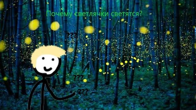 Почему светлячки светятся? НаучПоп Почему светлячки светятся? НаучПоп