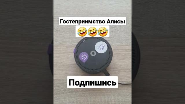 Гостеприимство Алисы лучшие приколы 2021 / яндекс Алиса жгёт/ тик ток приколы / #shorts Гостеприимство Алисы лучшие приколы 2021 / яндекс Алиса жгёт/ тик ток приколы / #shorts