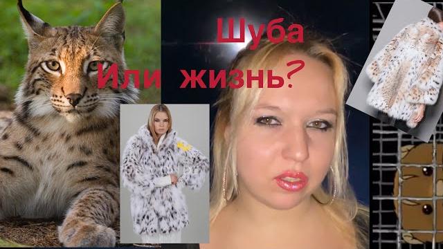Шуба из меха Рыси!Реальный кошмар и мир мод наизнанку?как миллионеры заставляют убивать животных? Шуба из меха Рыси!Реальный кошмар и мир мод наизнанку?как миллионеры заставляют убивать животных?