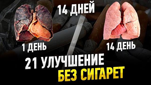 21 УЛУЧШЕНИЕ БЕЗ СИГАРЕТ ЗА 14 ДНЕЙ 21 УЛУЧШЕНИЕ БЕЗ СИГАРЕТ ЗА 14 ДНЕЙ