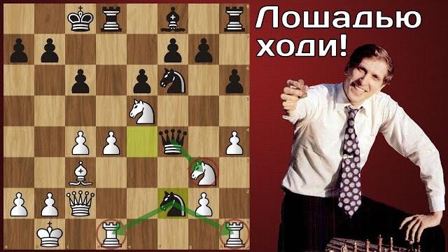 Р.Фишер - Р.Штейнмейер Чей конь круче? Шахматы Р.Фишер - Р.Штейнмейер Чей конь круче? Шахматы