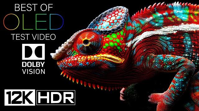 12K HDR 240fps DOLBY VISION OLED Test Video (2024) 12K HDR 240fps DOLBY VISION OLED Test Video (2024)