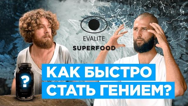 Ежовик Гребенчатый - Полный Разбор. Ежовик Гребенчатый - Полный Разбор.