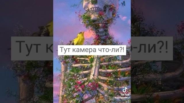 смешные звуки для видео!!! смешные звуки для видео!!!