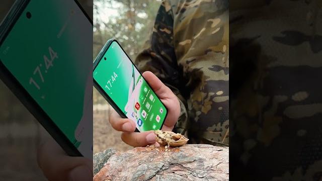 Как выжить в лесу с одним телефоном Как выжить в лесу с одним телефоном