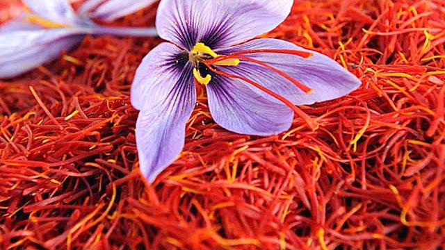Шафран (специя)/ Saffron | Почему он такой дорогой? Шафран (специя)/ Saffron | Почему он такой дорогой?