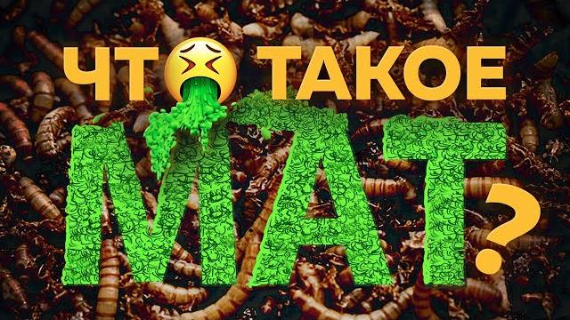 Что такое РУССКИЙ МАТ? Что такое РУССКИЙ МАТ?