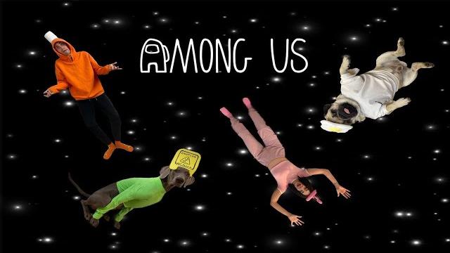 AMONG US ПОСЛЕДНИЙ - МЫ РЕШИЛИ СЫГРАТЬ СО СВОИМИ СОБАКАМИ AMONG US ПОСЛЕДНИЙ - МЫ РЕШИЛИ СЫГРАТЬ СО СВОИМИ СОБАКАМИ