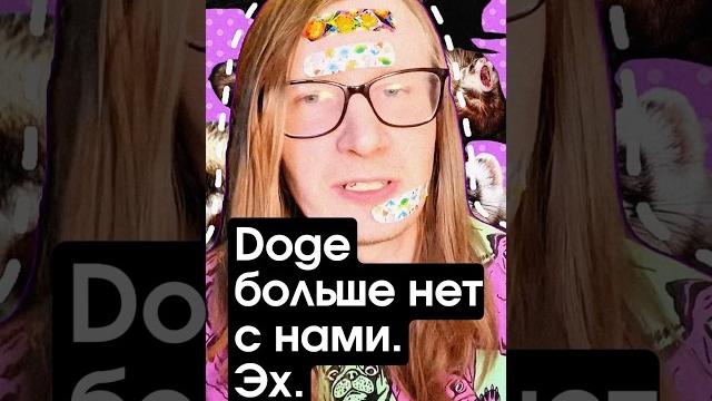 (️) Умерла собака Кабосу ставшая прототипом мема Doge и лицом криптовалюты Dogecoin #dogecoin #doge (️) Умерла собака Кабосу ставшая прототипом мема Doge и лицом криптовалюты Dogecoin #dogecoin #doge