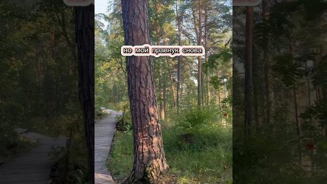 Слова которые порождают своей мудростью #motivation #мудрость #мысли #мудрыецитаты #цитаты #успех Слова которые порождают своей мудростью #motivation #мудрость #мысли #мудрыецитаты #цитаты #успех