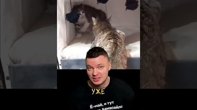 Любовь Побеждает Страх ️ До Конца Любовь Побеждает Страх ️ До Конца