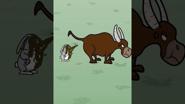 Заяц и бык #животные #анимации #мультфильмы #прикол #youtubeshorts #юмор #рекомендации #мем Заяц и бык #животные #анимации #мультфильмы #прикол #youtubeshorts #юмор #рекомендации #мем