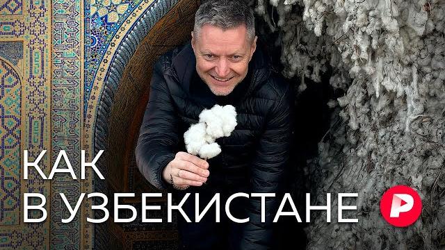 Хлопок, оттепель и задержание на съемках. Большой выпуск из Узбекистана Хлопок, оттепель и задержание на съемках. Большой выпуск из Узбекистана